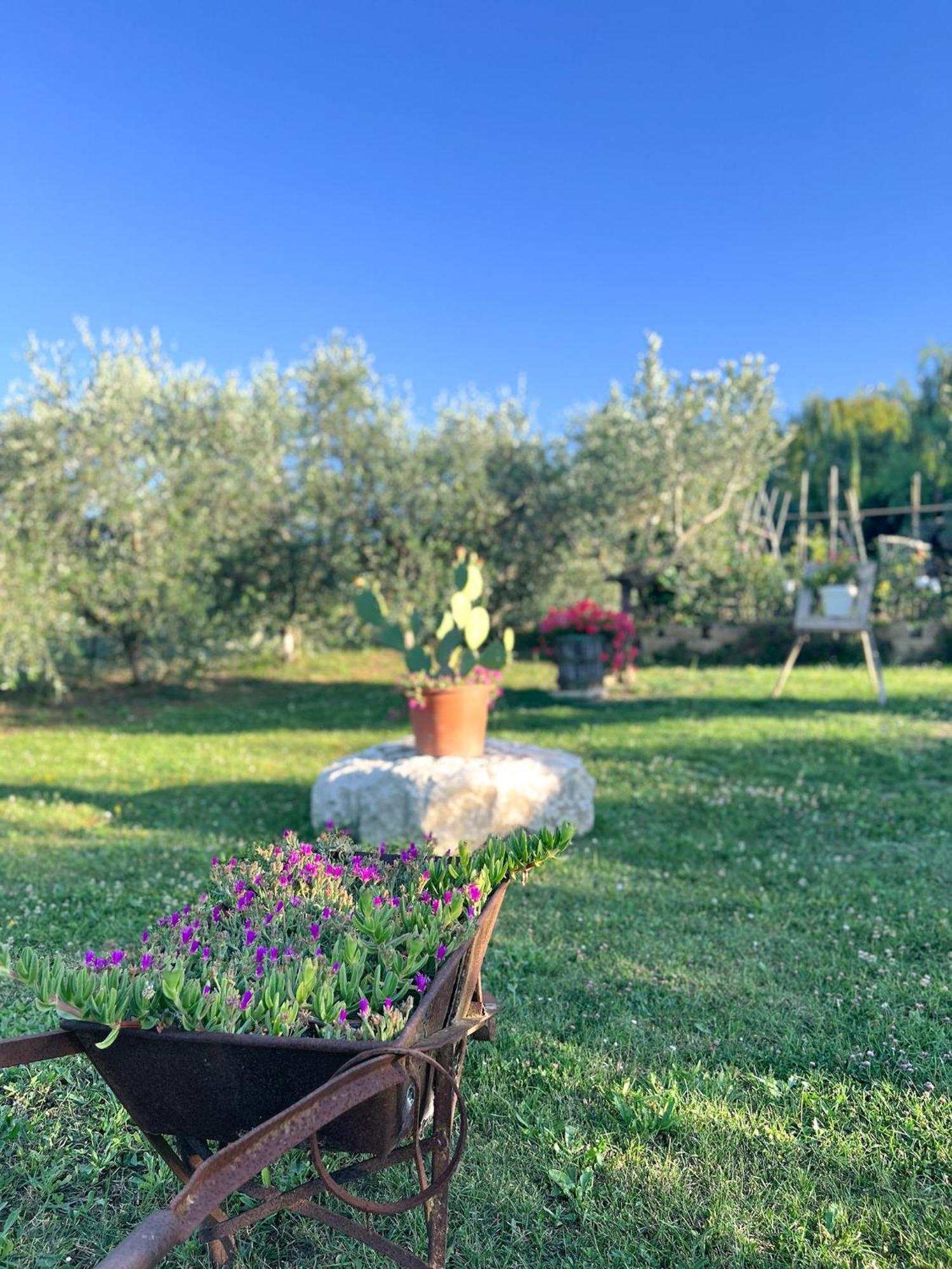 Relaxing Farmhouse Сан-Марино Экстерьер фото